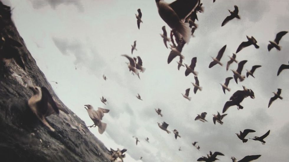 Lessons we learned from experimental documentaries