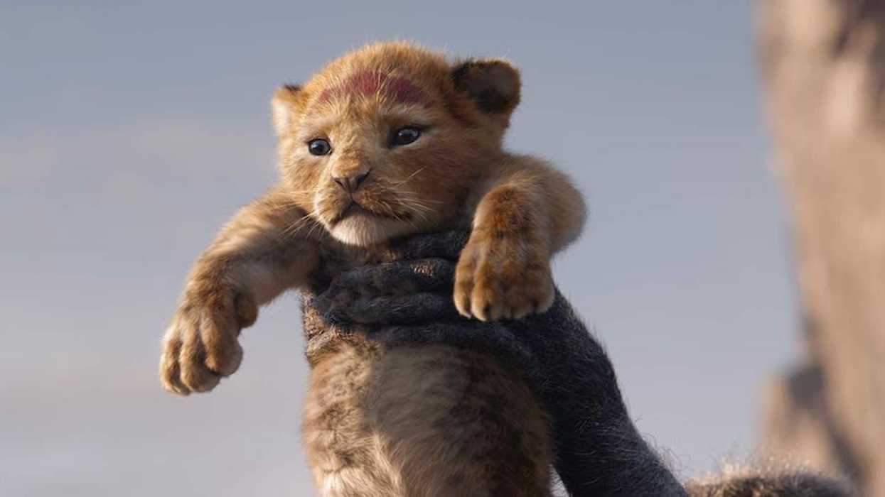 Lion_king_4_0