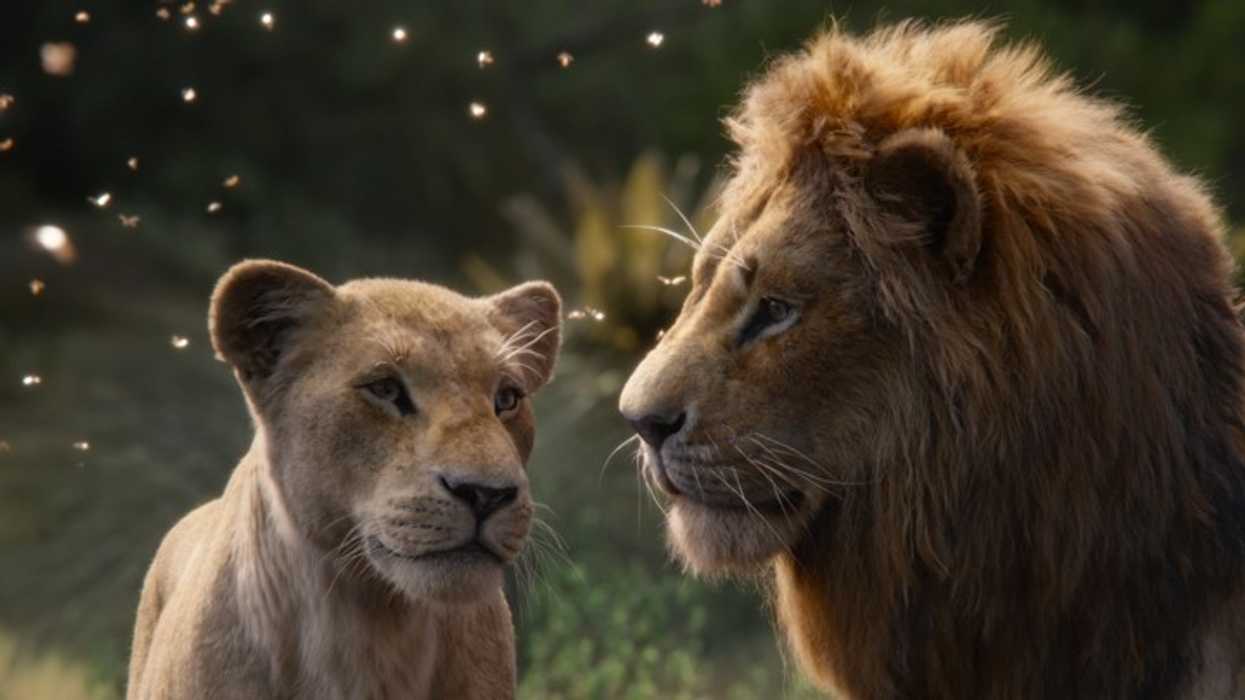 Lion_king