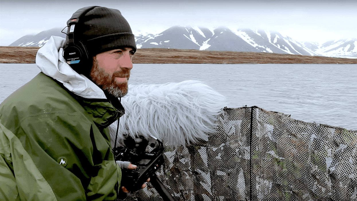 Macaulay Library Animal Sound Recording