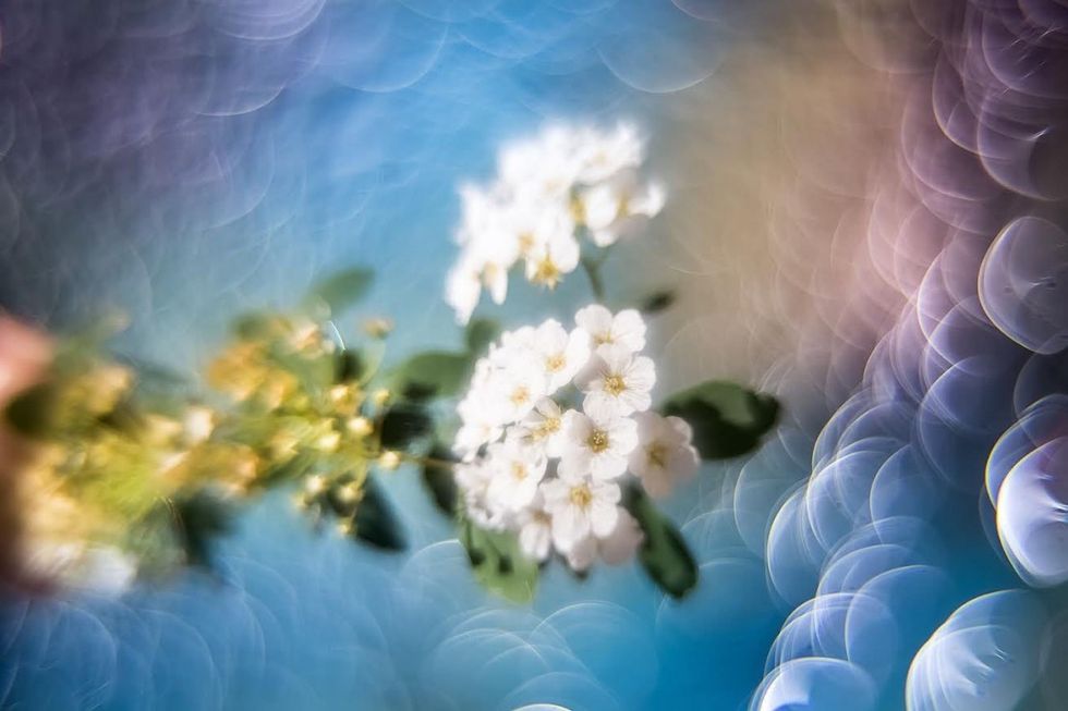Magic_bokeh_2_4