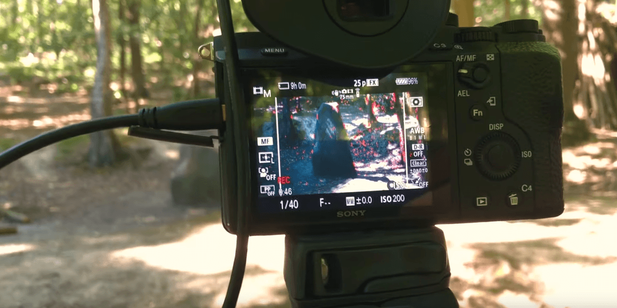 Everything You Need to Know About Anamorphic Lenses | No Film School