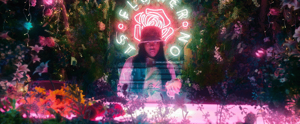 Mif-jungle-flowers