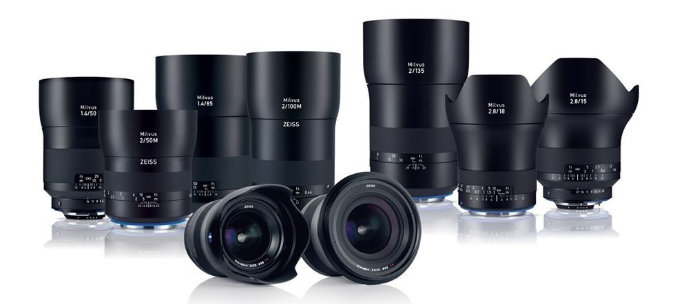 Milvus_family