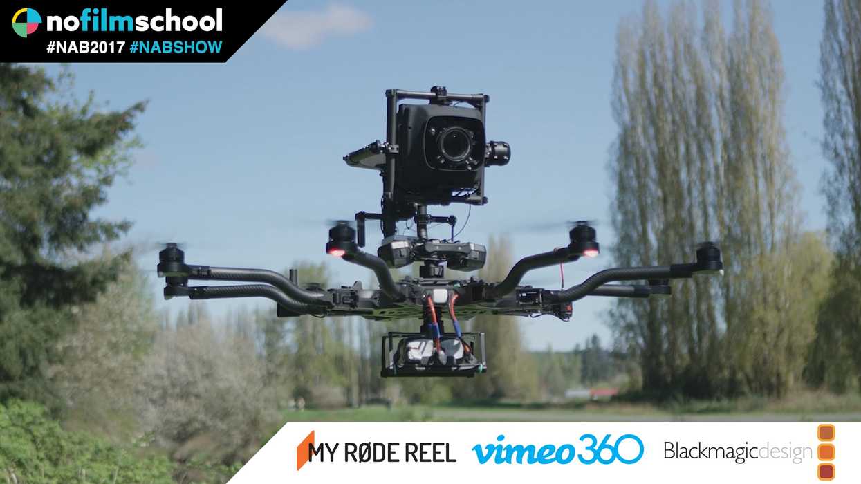 MoVi Carbon