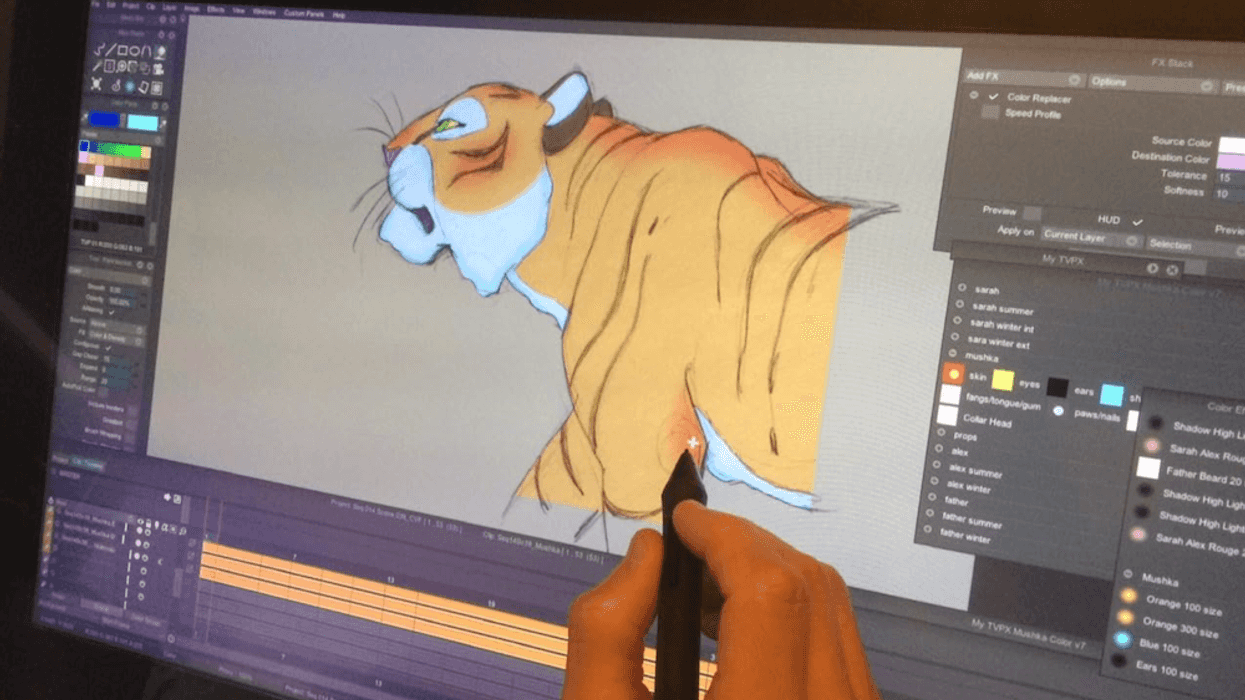 Mushka_tiger