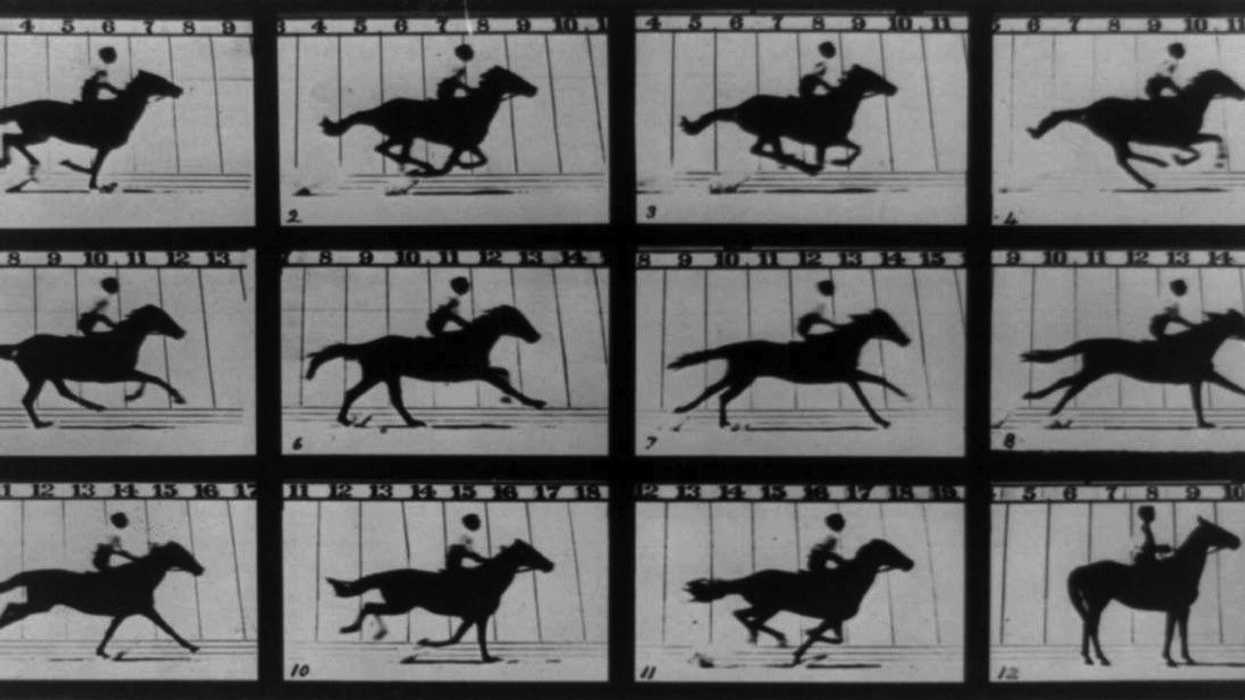 Muybridge
