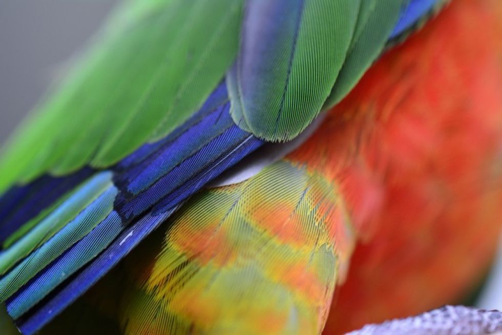 Nikon-d5200-sample-4