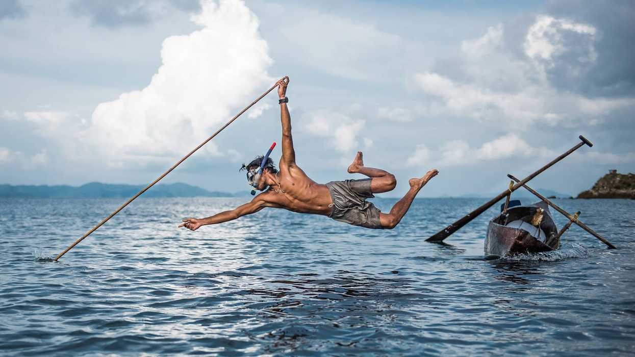 Nikon photo winner
