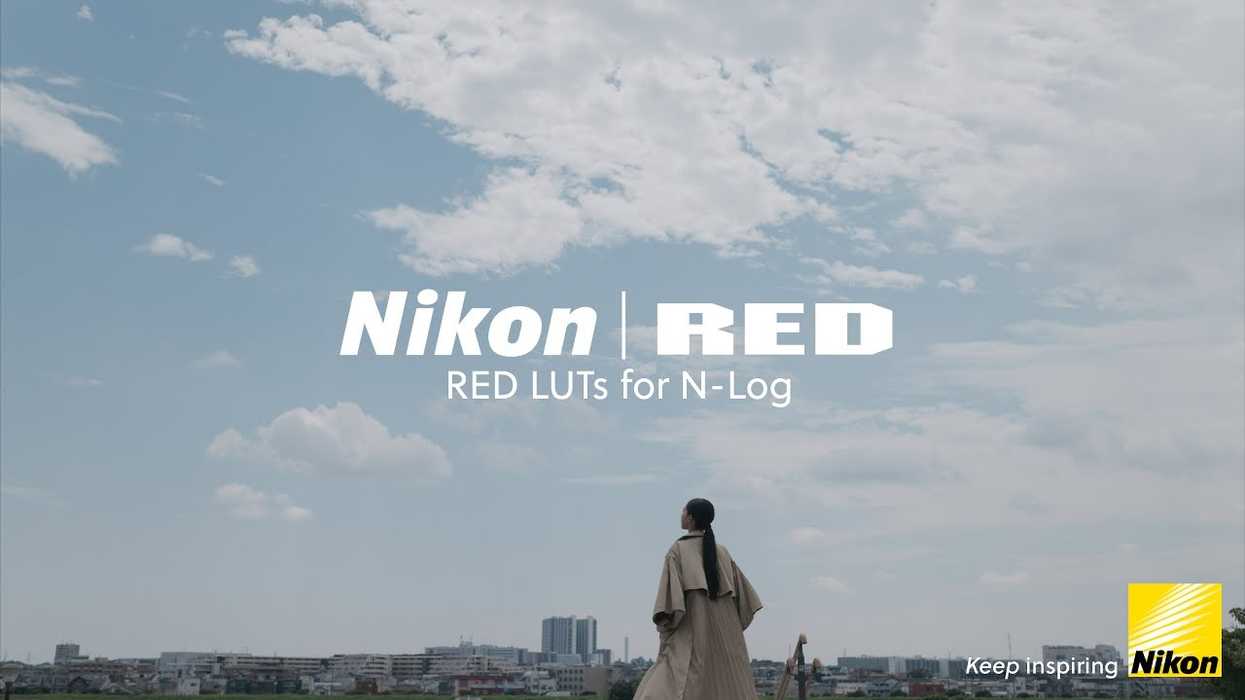 Nikon RED LUTs