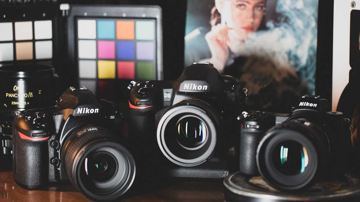 Nikon Z-LOG Video Recording