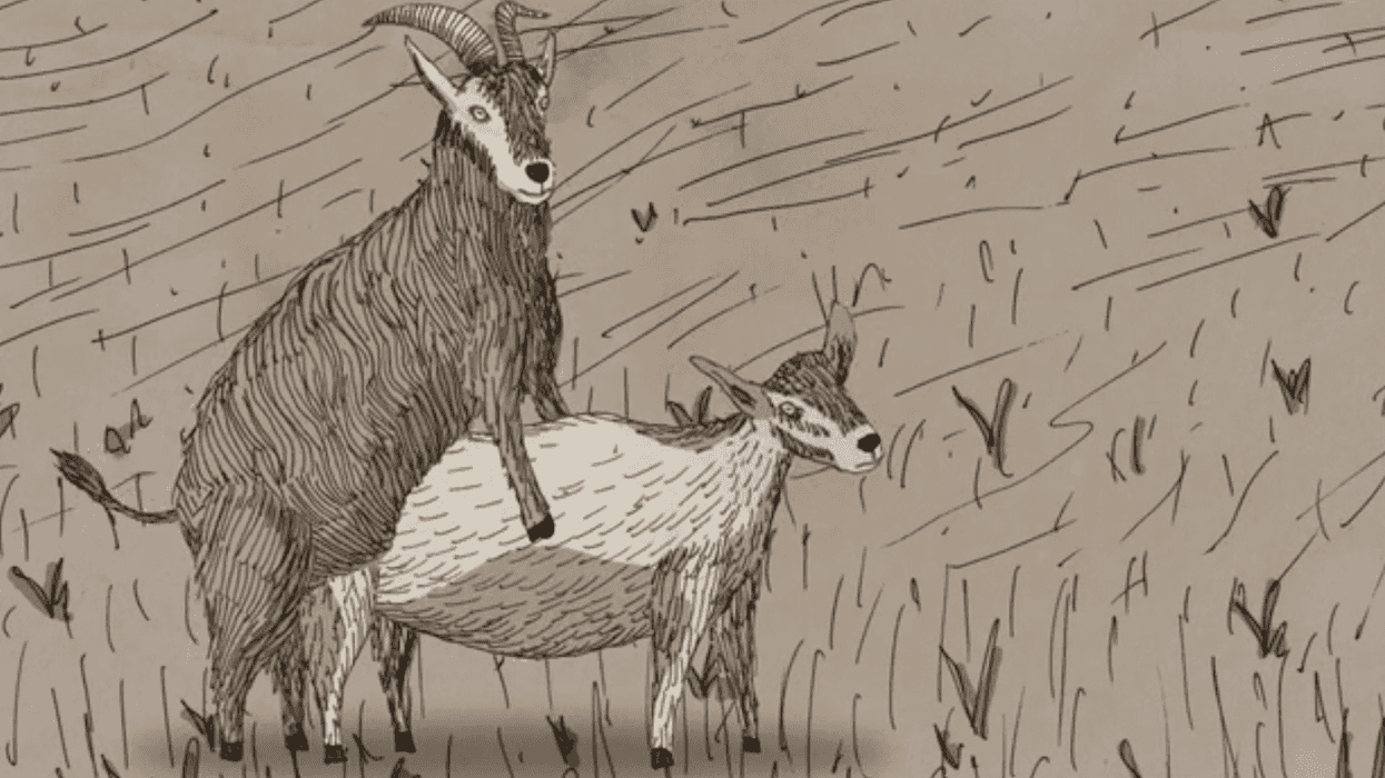 Nuts_goat