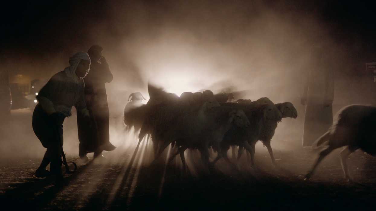 Of_sheep_and_men_pic1