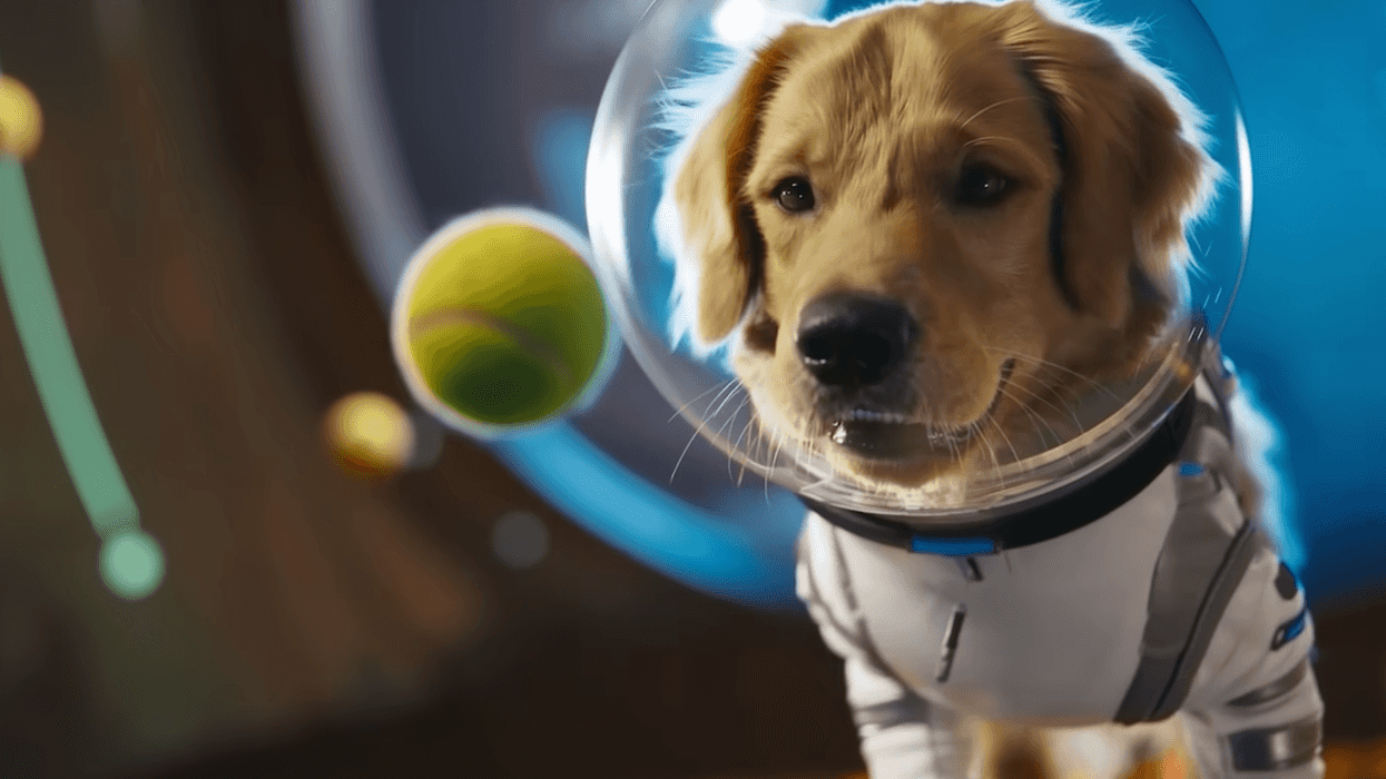 OpenAI Sora 2