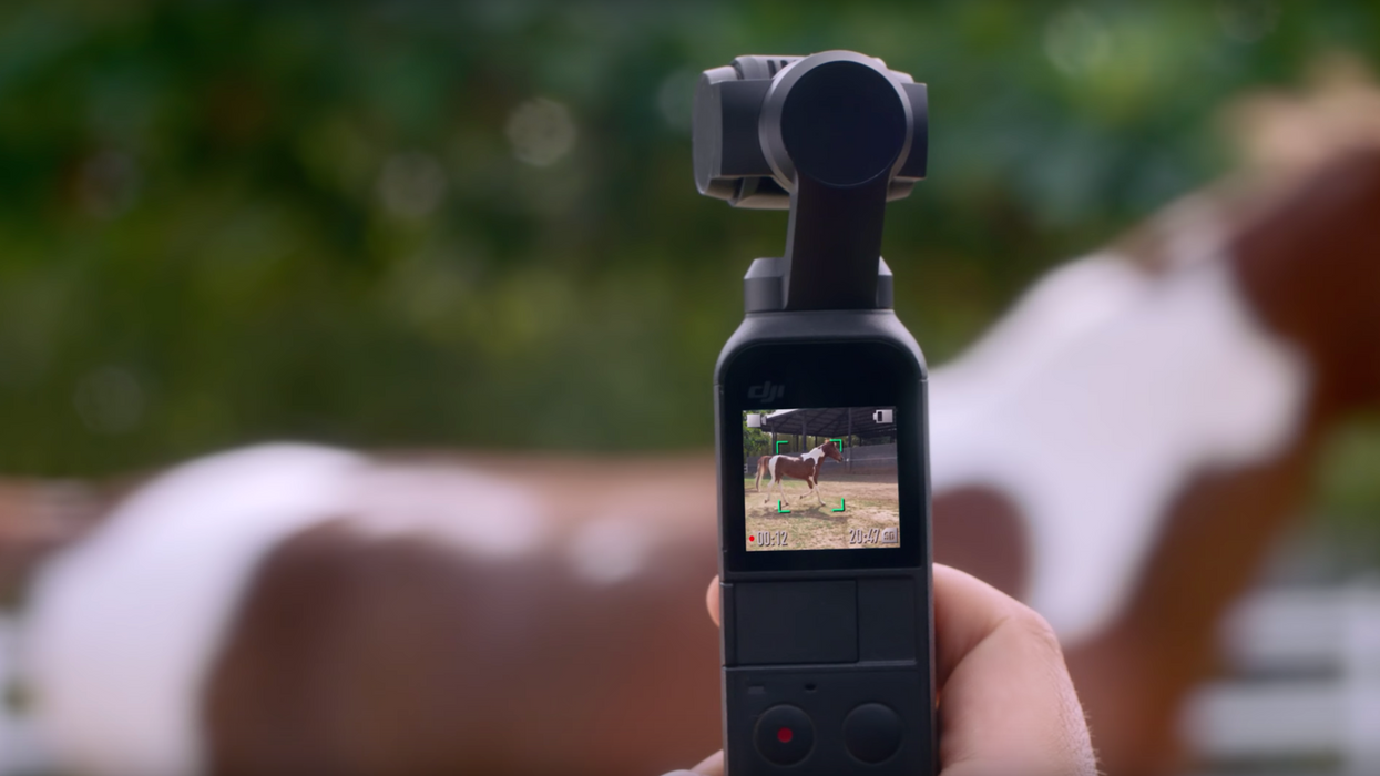 How to Set up Your Osmo Pocket in 2 Minutes - DJI Guides