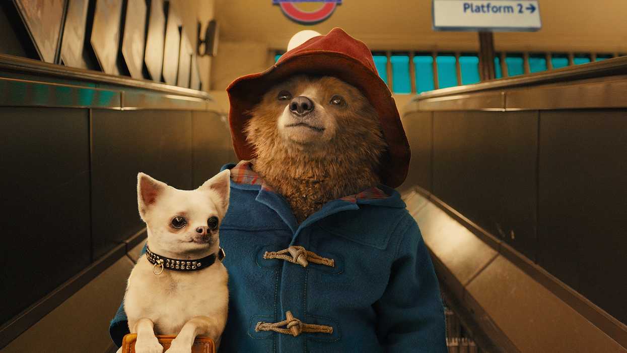 Paddington_bear_and_zelensky