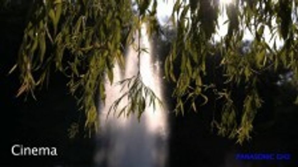 Panasonic-gh2-vs-canon-t3i-224x126
