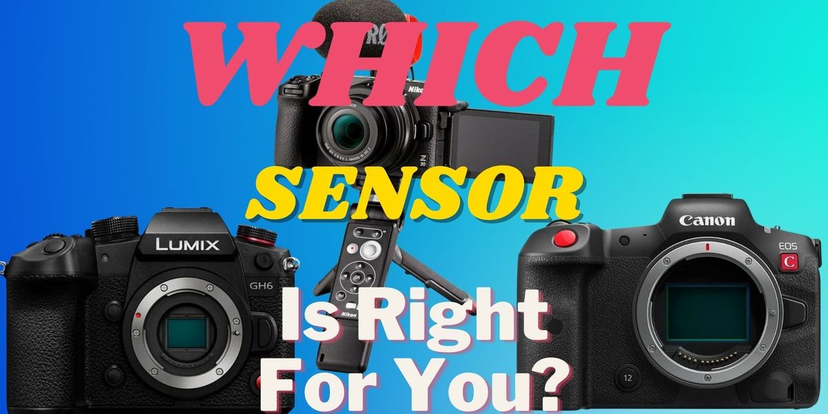 Three Cameras, Three Sensor Sizes, Three Types of Content | No Film School