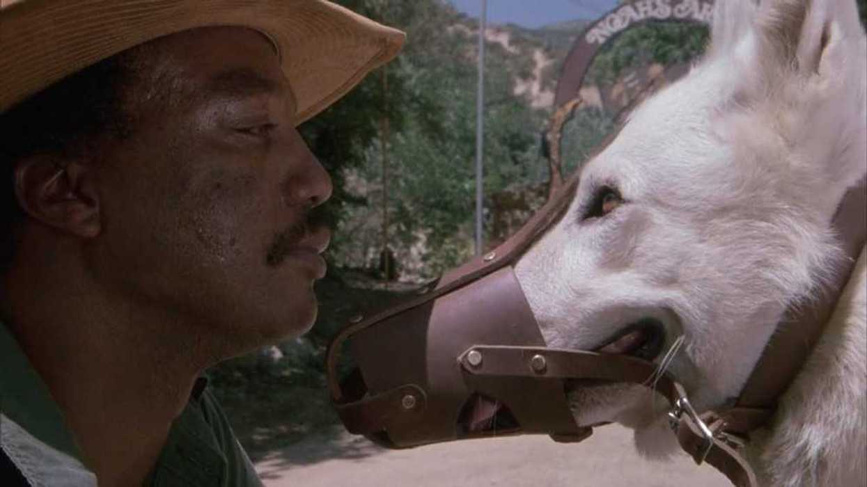 Paul Winfield and the white dog