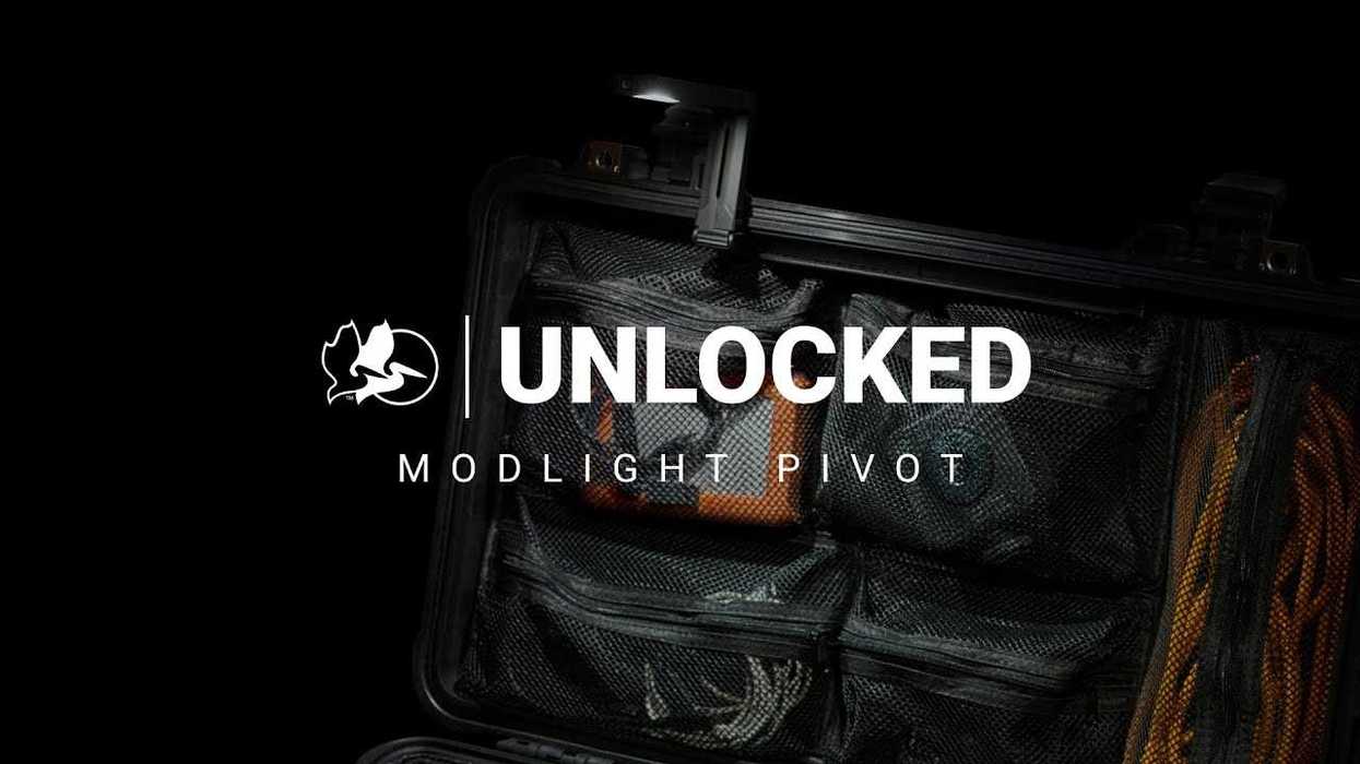 Pelican ModLight Pivot In-Case Light