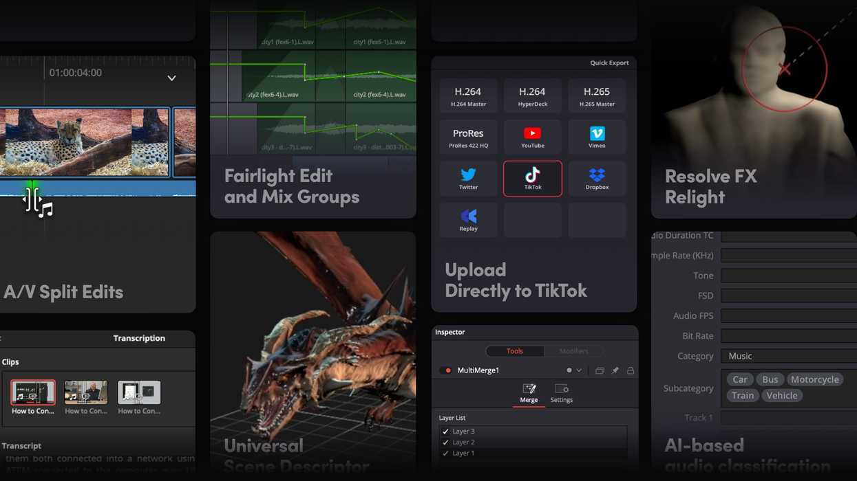 picture of segments of UI fro DaVinci Resolve 18.5