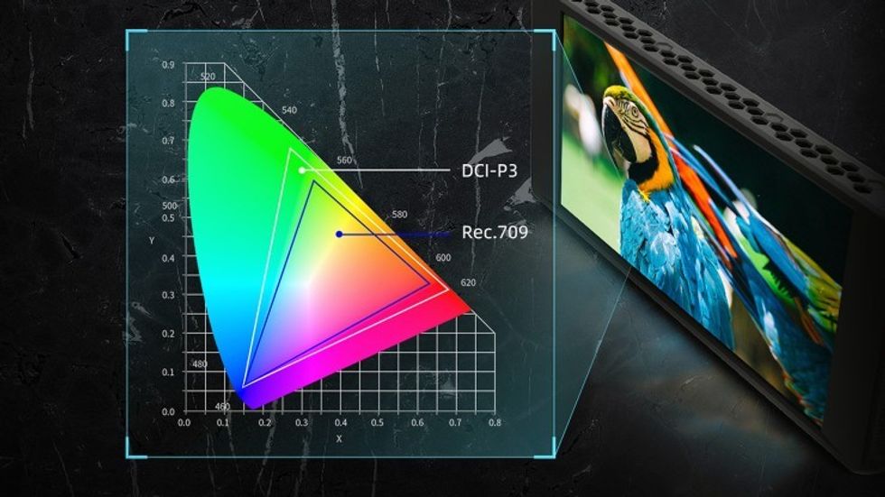PortKeys PT6 Color Space