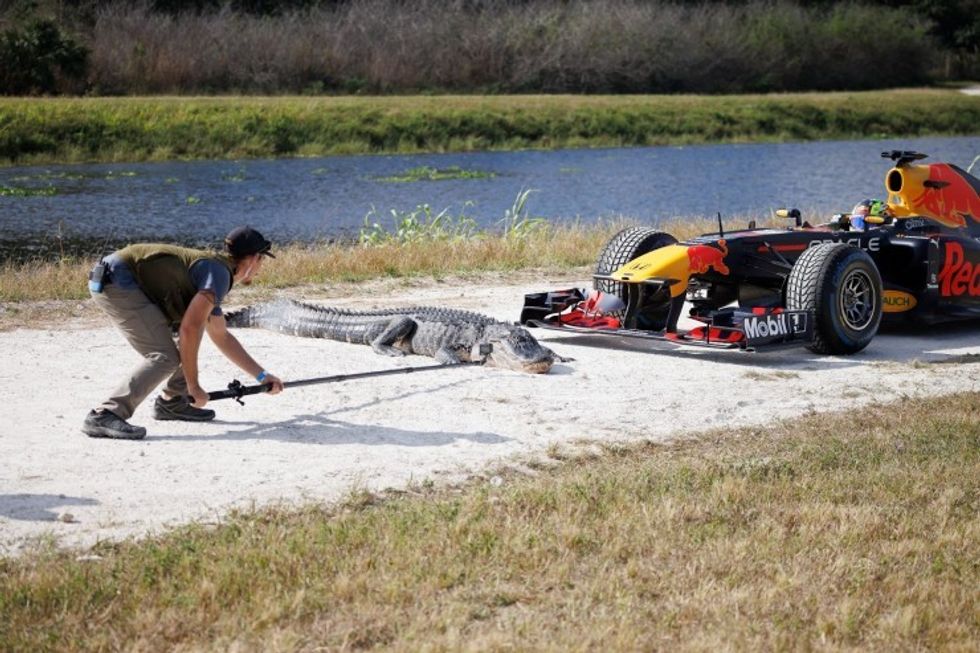 POV cameras don\u2019t always need to be on the car. Collin Harrington going in for the shot. Credit: Chris Tedesco / Red Bull Content Pool