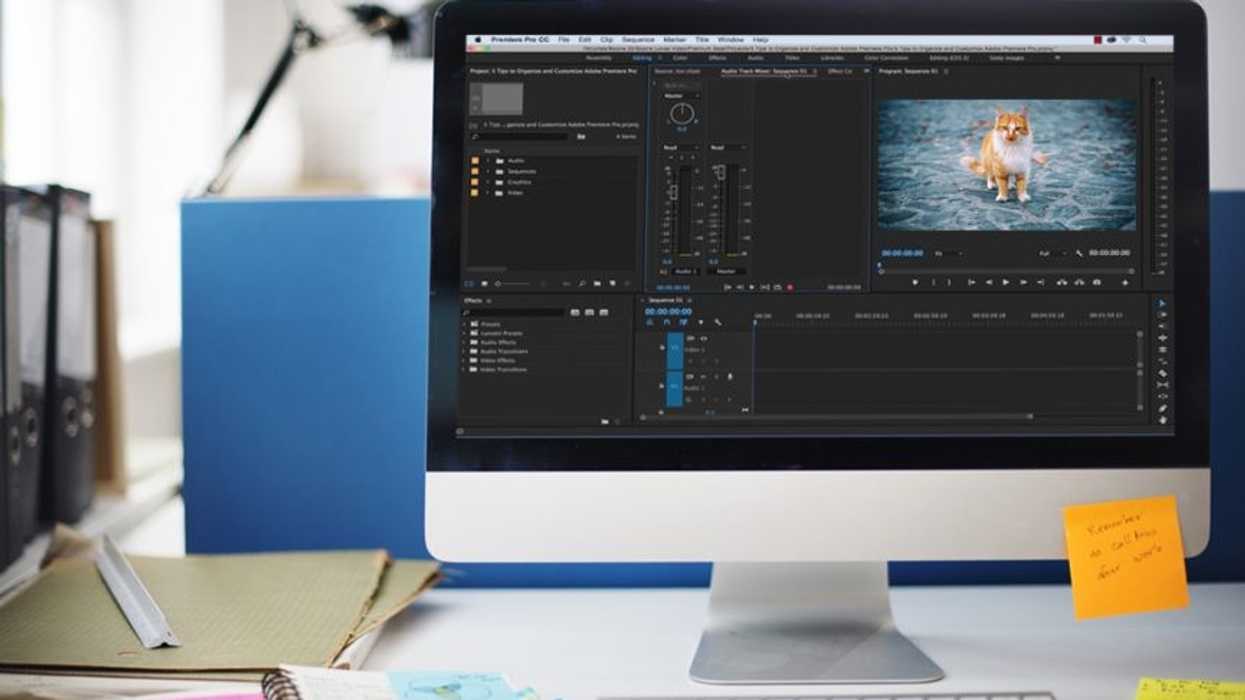 Premiere_pro_customize_cat-865x505