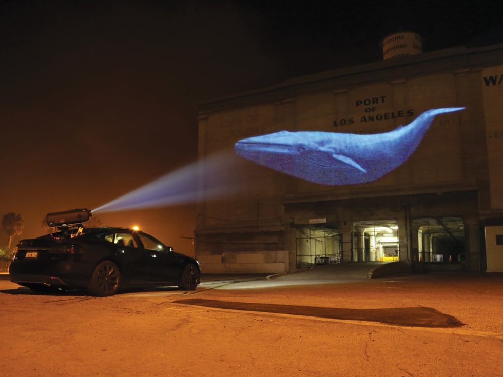 Racing Extinction