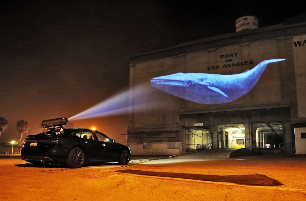 Racingextinction