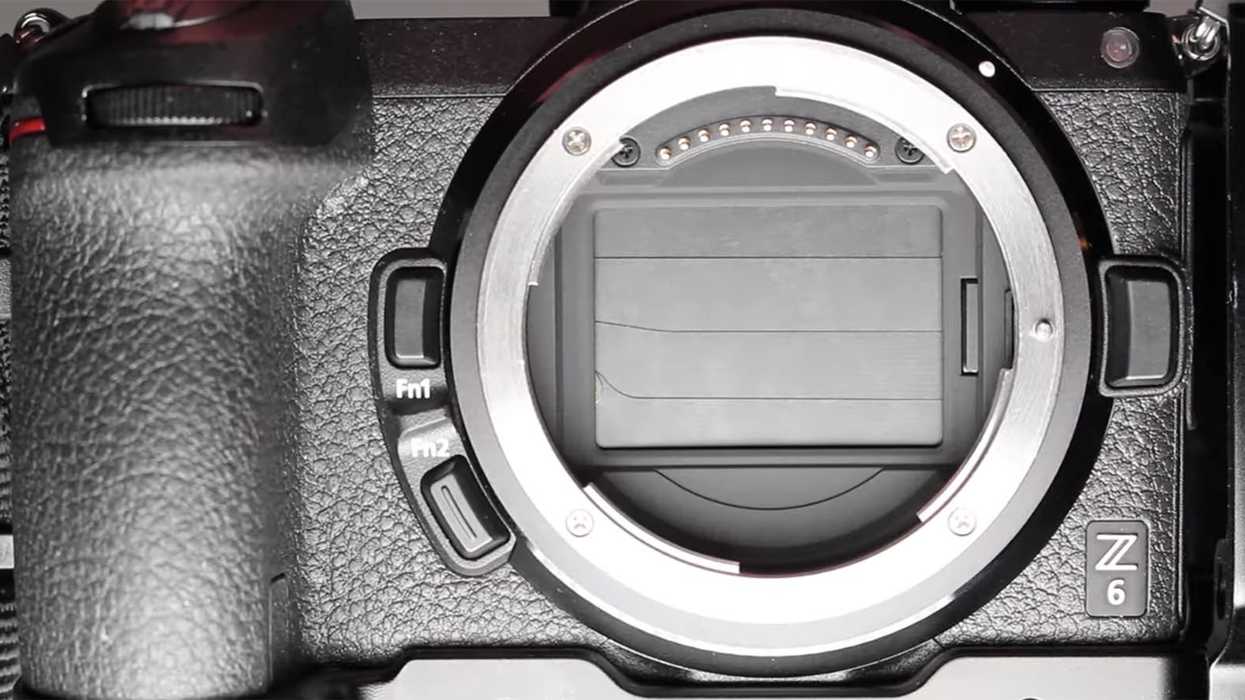 Removing a battery could lock down your shutter curtain, requiring maintenance