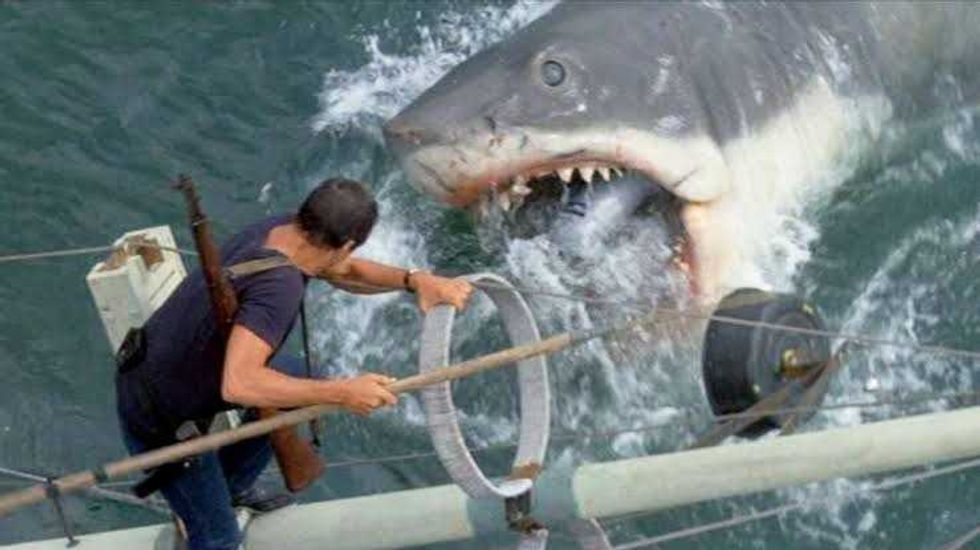 Roy Scheider in \u2018Jaws\u2019