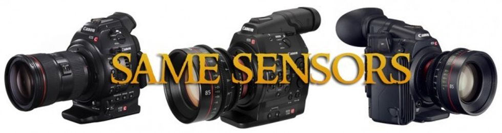 Ryan-e-walters-same-sensor-canoncs