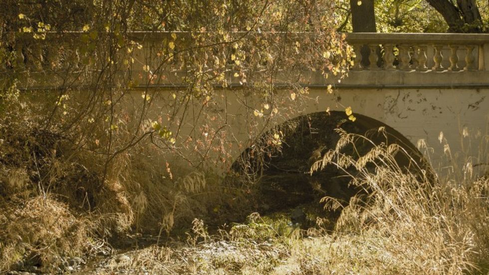 Samyang-35mm-bridge