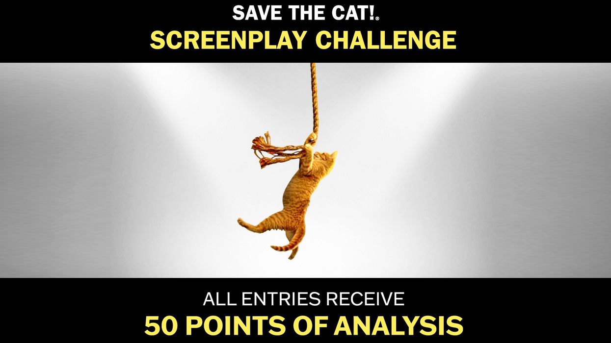 Save the Cat! Screenplay Challenge