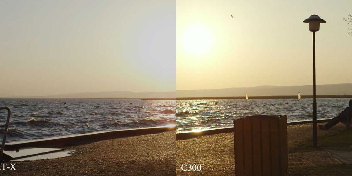 Fringing In Camera Defects in a Large Sensor Video Camera? Purple and Green Fringing on ...