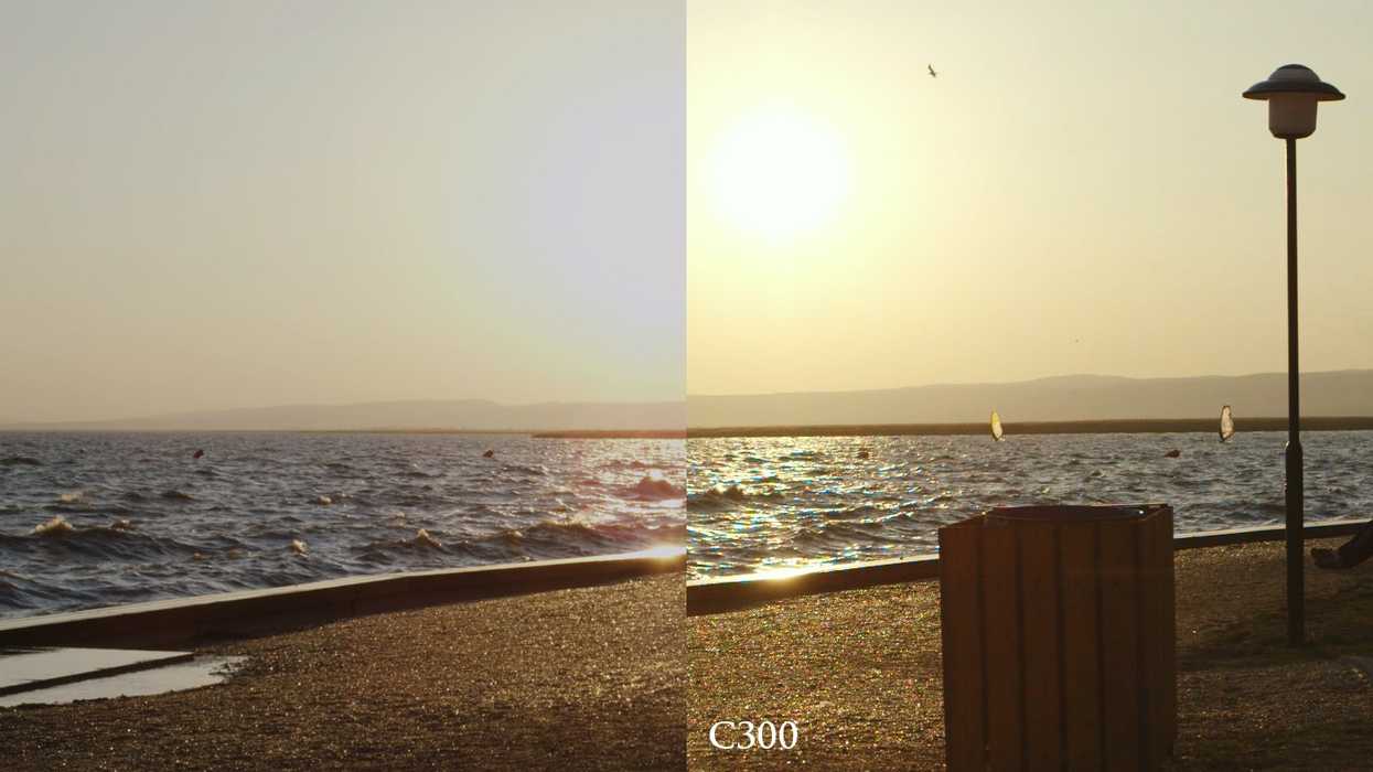 Scarlet-vs-c300_fringing