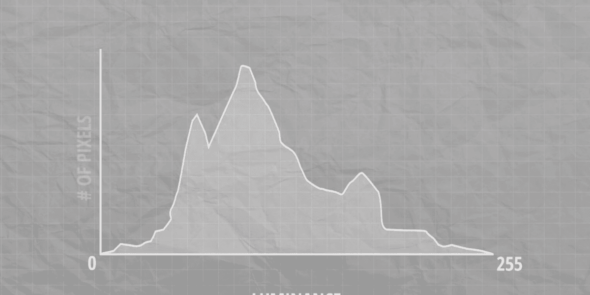 Camera Scope Pattern Learn How to Read 6 Different Scopes to Ensure Proper Exposure and ...