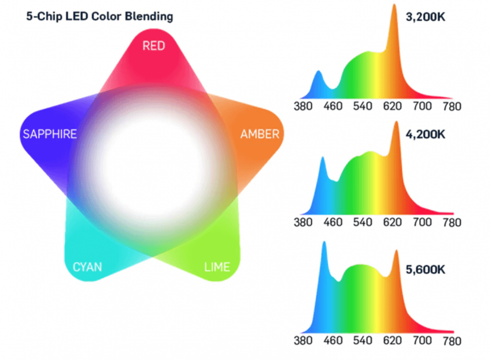 HIVE Makes a Compelling Case for LED | No Film School