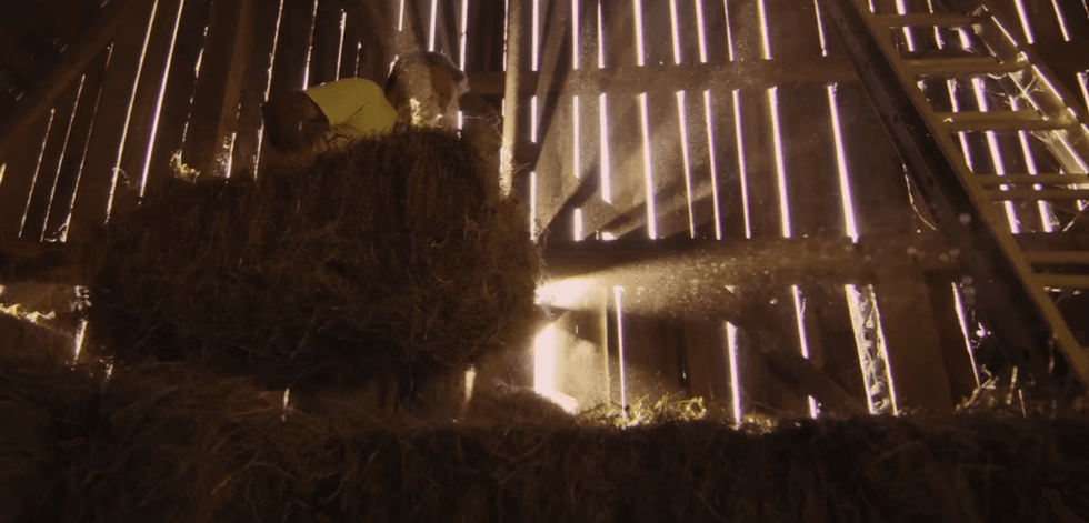 Screen_shot_2016-11-20_at_7
