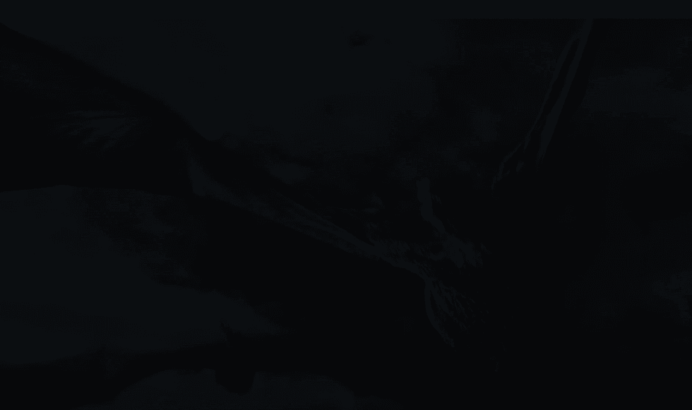 Screen_shot_2019-04-29_at_10