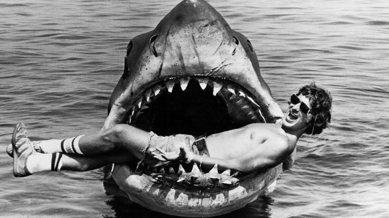 Shark_-_feature