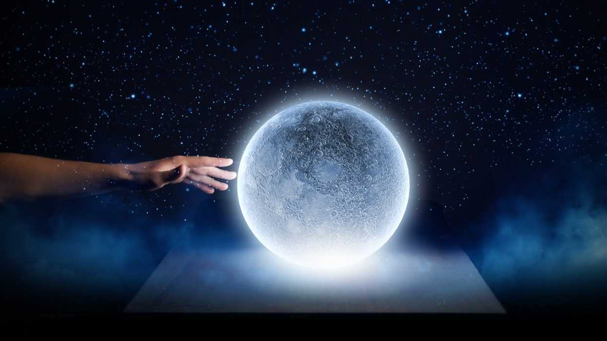 Shutterstock_202627483