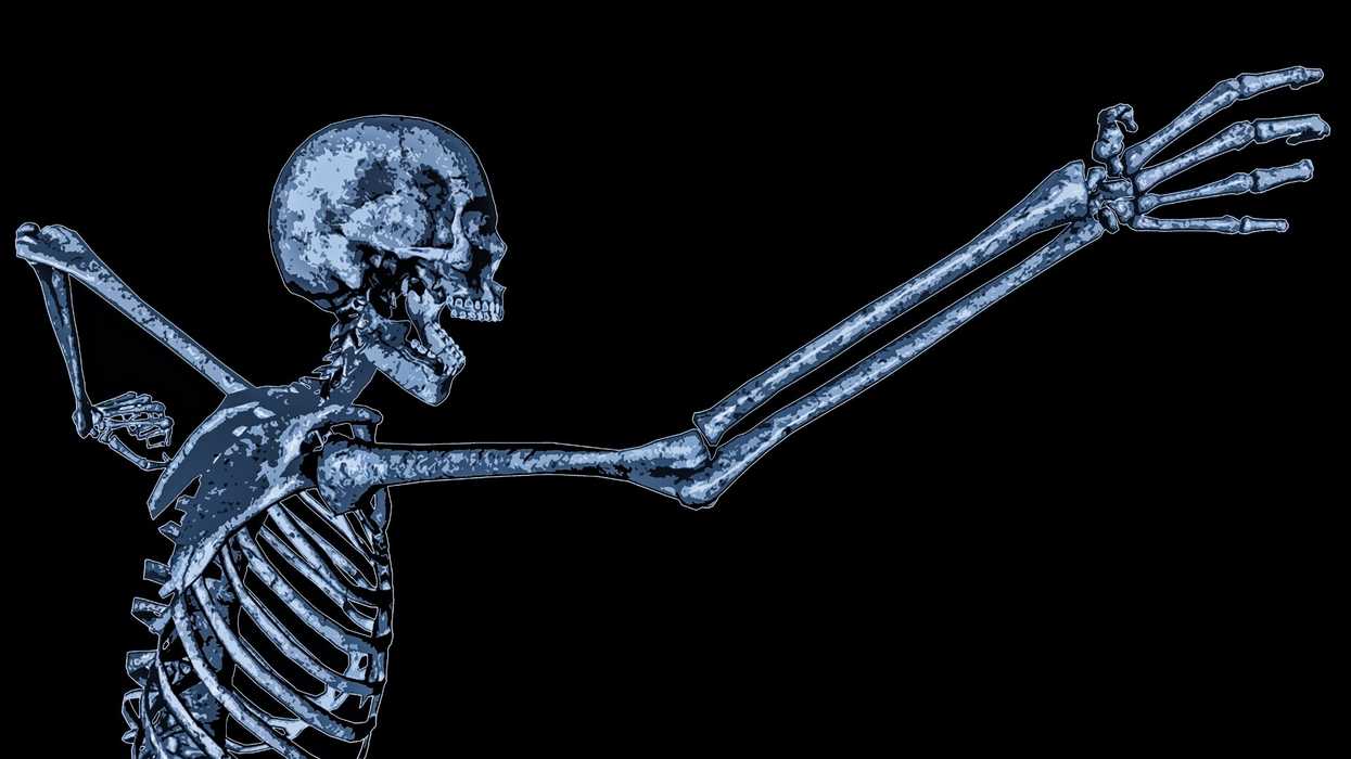 Skeleton
