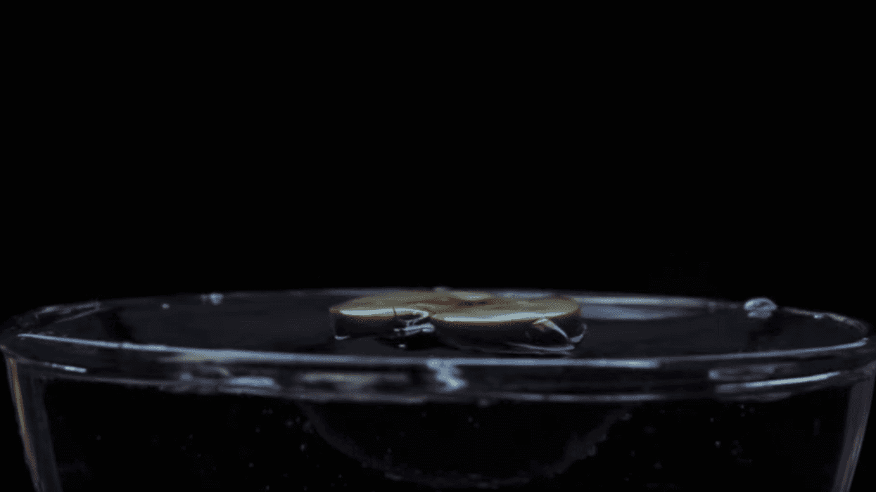 Slow_mo_0