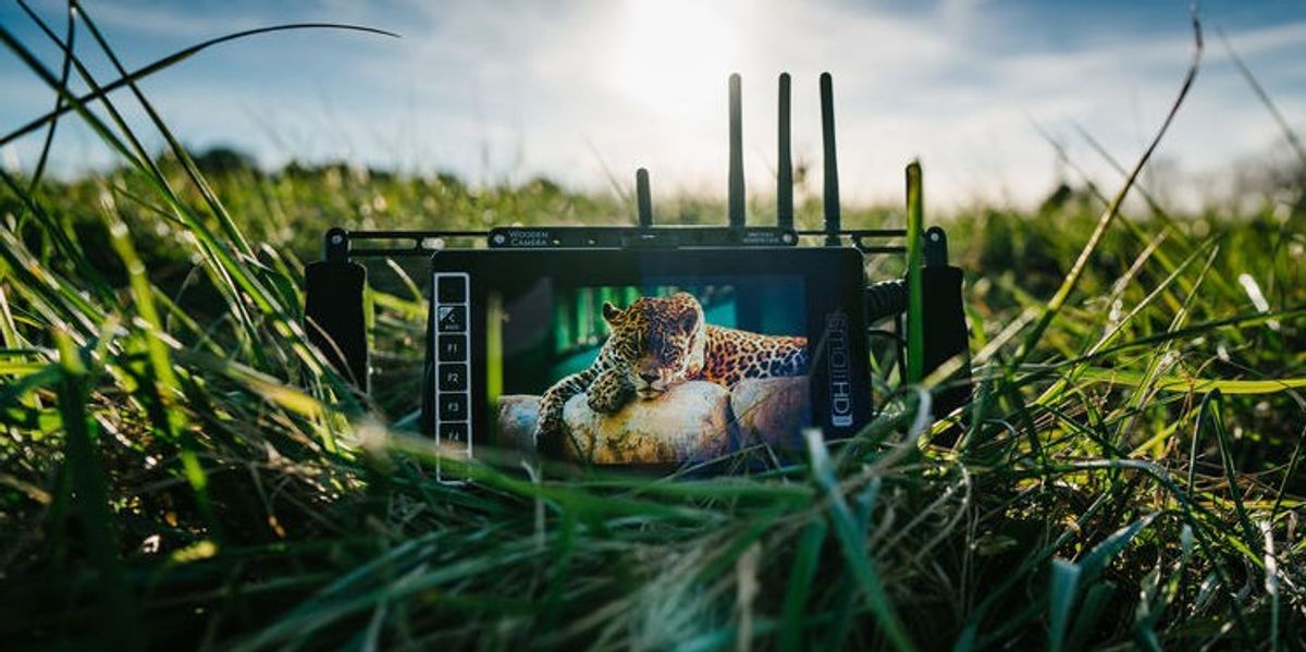 Smallhd Token SmallHD Puts 2500 Nits in New HD Monitors | No Film School