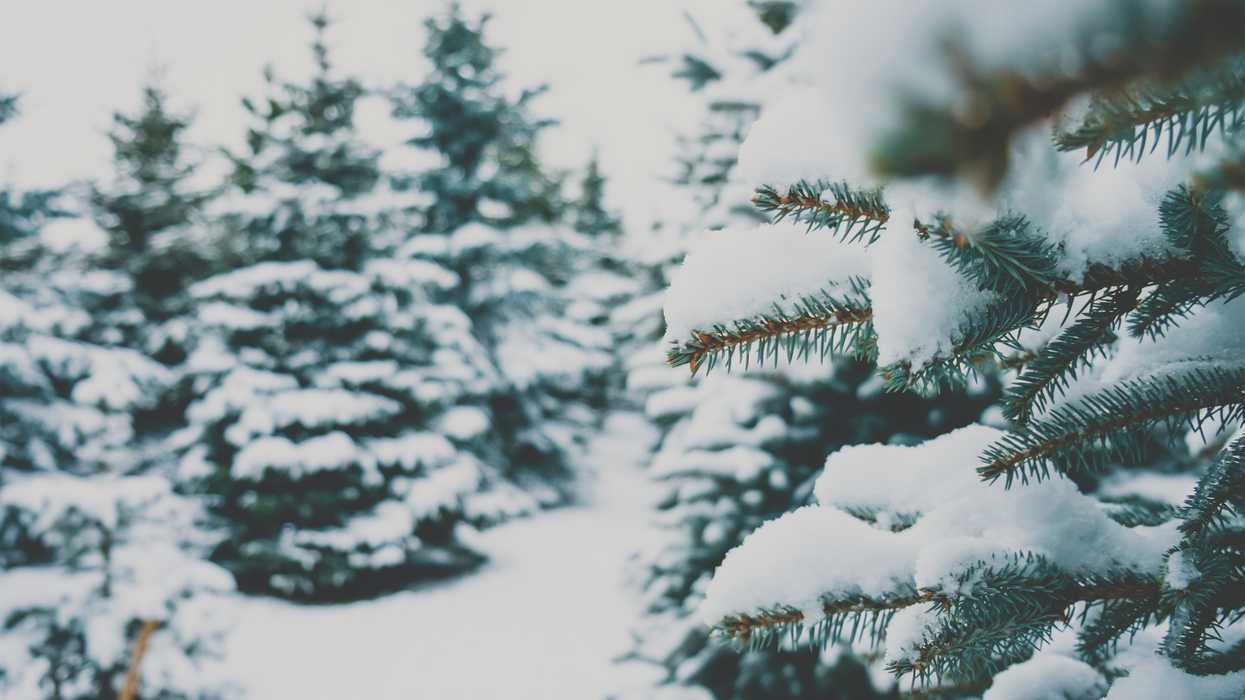 Snow