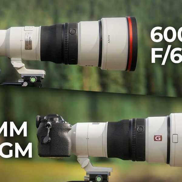 Sony Super Telephoto Primes