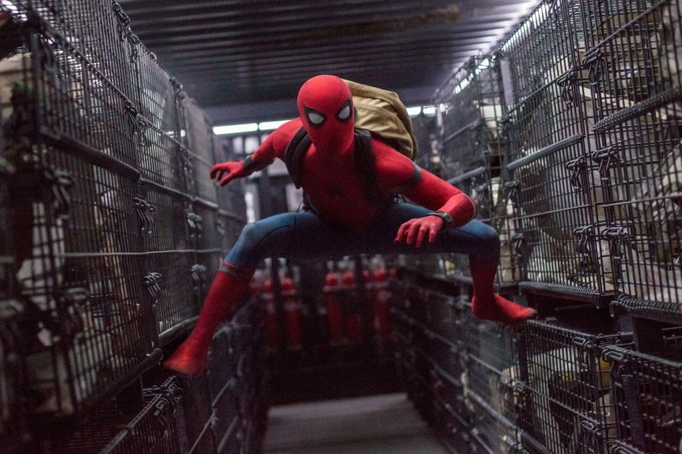 Spidey_in_a_cage