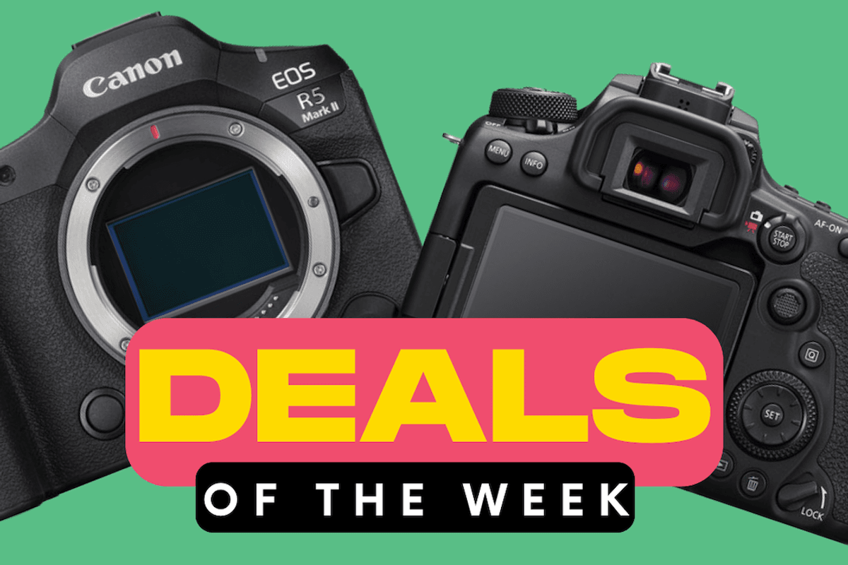 Start Shooting With Your Very Own Canon Camera Thanks to These Incredible Deals